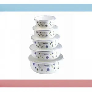 Reoona Pack of 5 Bowls Set(GM)