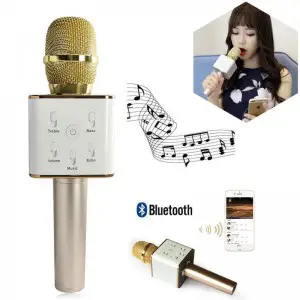Wireless Bluetooth Microphone Party Mic Speaker