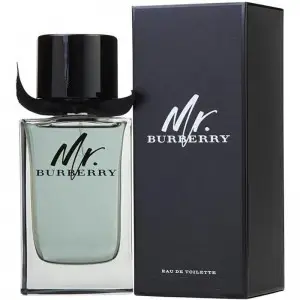 Mr. Burberry 100 ml Perfume For Men (Original Tester Without Box)