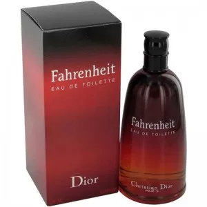 Fahrenheit Dior 100 ml Perfume For Men (Original Tester Without Box)