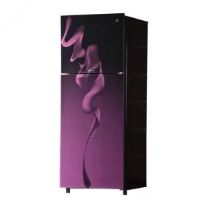 PEL Jumbo Refrigerator GD InverterOn PRINVO 22250