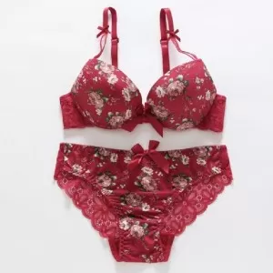 EleaEleanor Womens Sexy Embroidery Lace Bra Bralette Set Push-Up Thin Padded Bra with Panties Floral Underwear Bra Set