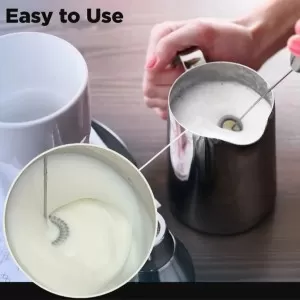 Egg Beater & Lassi Maker Portable Drink Whisk Mixer Food Blender Whisk Kitchen Accessories