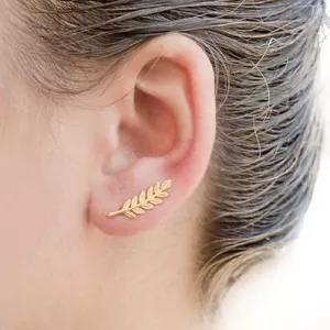 Women's Fashion Rhinestone Leafear Climber Leaf Earrings Ear Clip Ear Cuff Stud Earrings Leaves Jewelry Accessories Gifts