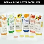 Derma Shine Fruit Facial Kit-200ML EACH 6 Step Facial