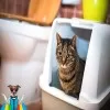Pet Cat Litter Box Cat Toilet Cat House With Odor Control With FREE LITTER SCOOP NON-STICK Coating 1418