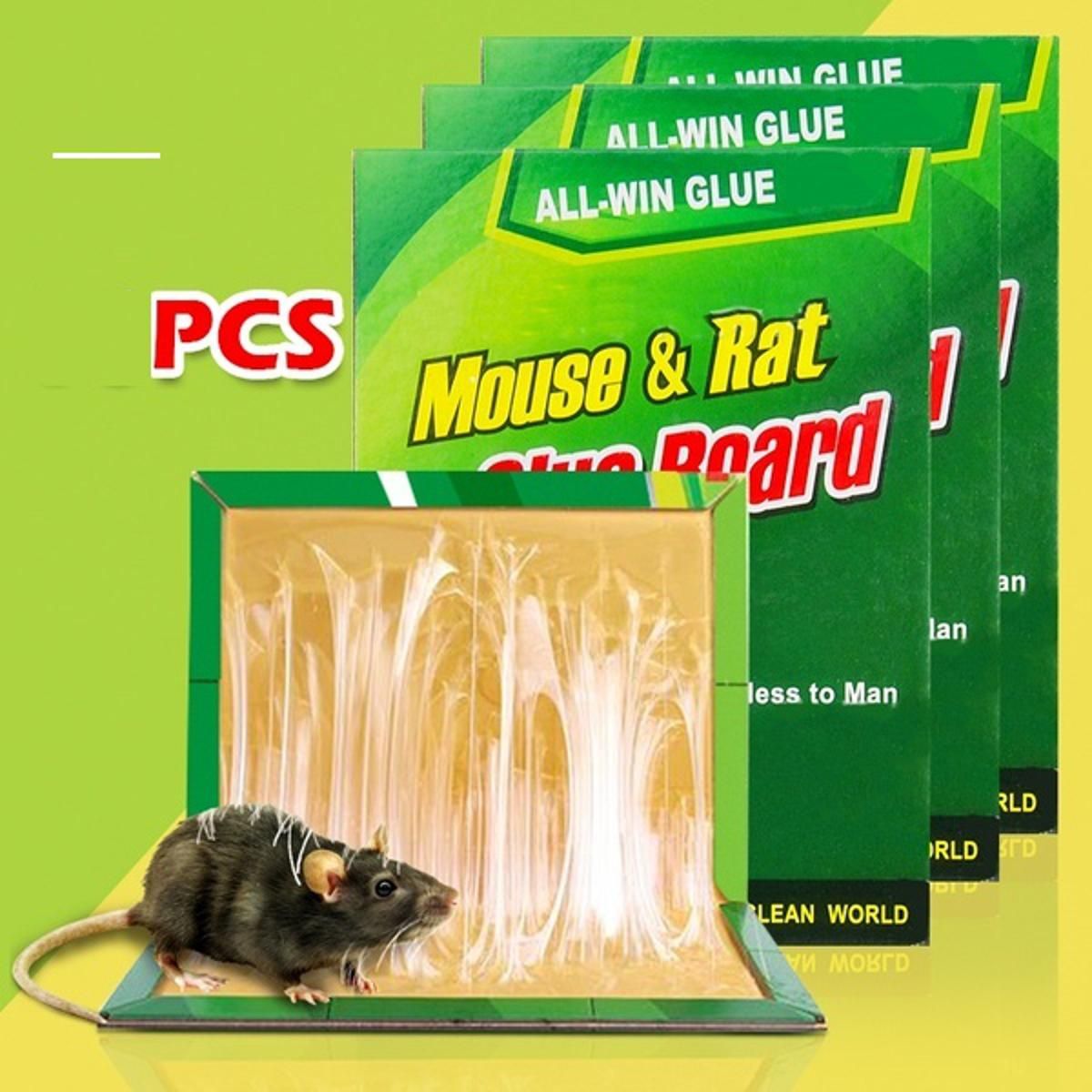 Buy 2 Pcs Reusable Expert Catch Mouse Glue Traps Mouse Size Glue Traps at  Lowest Price in Pakistan