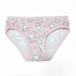 Premium Panties for Girls Cotton Panty High Quality Underwear for Kids (Per-Pcs)