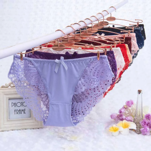 Comfortable Lace Briefs Hollow butterfly wing Transparent Low Waist Women Underwear