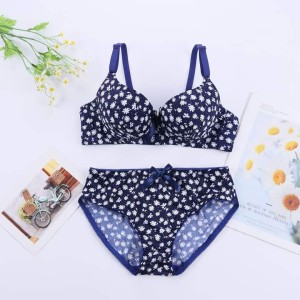 Imported Best Quality Push-up Printed Bras & Panty Set for Women/Girls