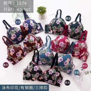 Imported Best Quality Push-up Printed Bras for Women/Girls