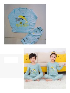 Kids Printed Tshirt and Short Night Dress By Hk Outfits