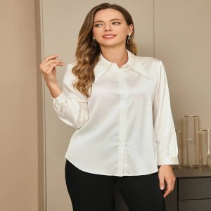 Silk Classic Daily Basic Shirt