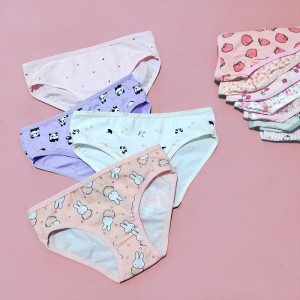 Premium Panties for Girls Cotton Panty High Quality Underwear for Kids 3-Pcs