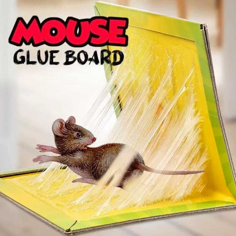 Buy Mouse Board Sticky Mice Glue Trap High Effective Rodent Rat
