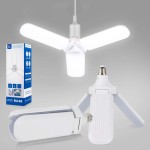 Lighting Bulbs & components