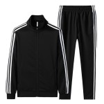 Stylish Three Stripes Winter Stand Collar Tracksuit For Men